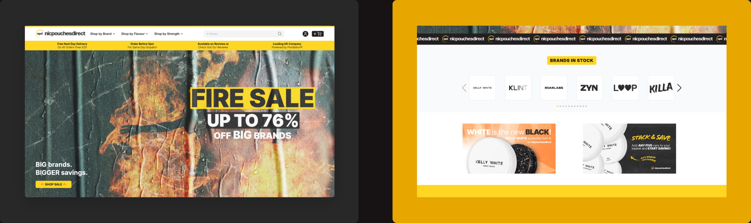 Custom NPD web design work by RevoStudio UK agency